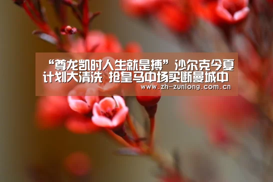 尊龙凯时官网